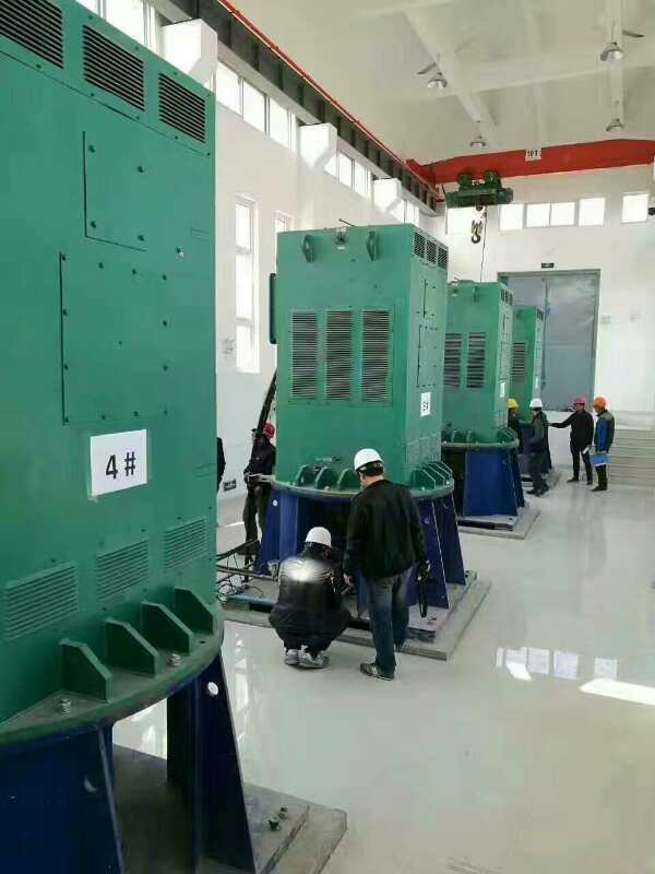 宣威某污水处理厂使用我厂的立式高压电机安装现场